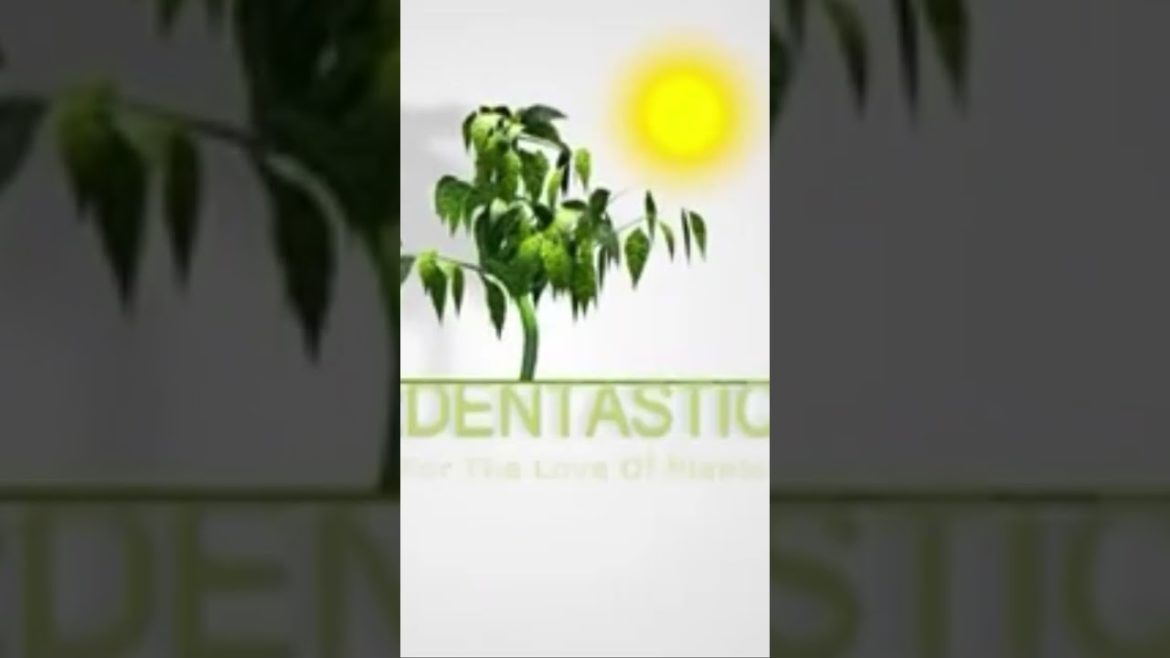 #gardentastic #shortvideo #plantlove #indoorgarden #patiogardening #balconygarden #gardenscaping