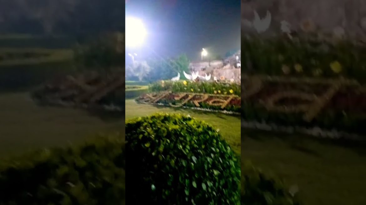 Prem Mandir Vrindavan #shorts #viral #trending #viralshorts