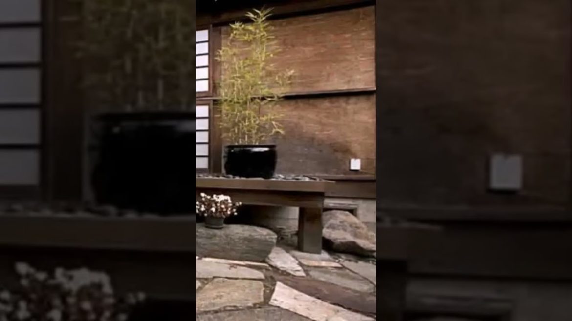 #gardening #shortvideo #landscapedesignideas #indoorgarden #tiktok #viral #gardentastic #shorts