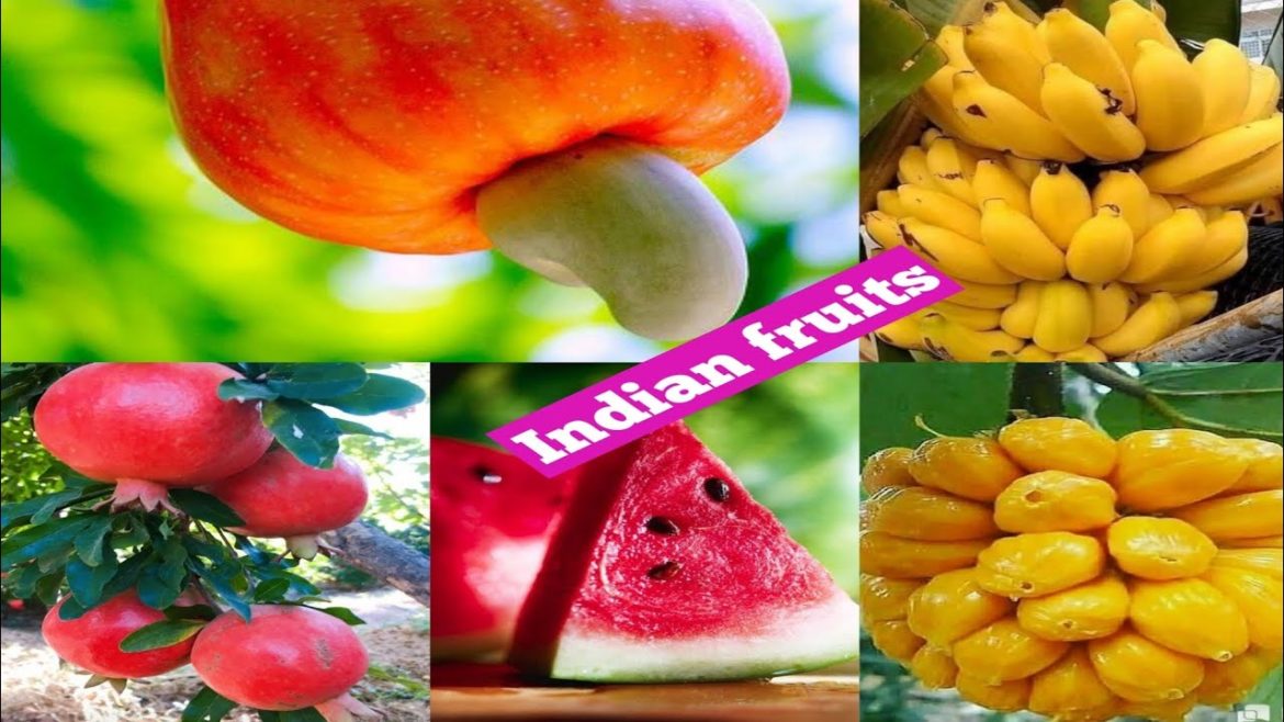 Indian fruits pictures//🍎🍉 fruits images part 1