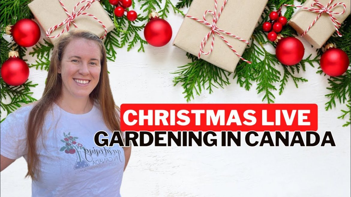 Gardening In Canada Live Stream. Answering All Your Must Know Plant Questions. Gardening In Canada Live Stream. Answering All Your Must Know Plant Questions.