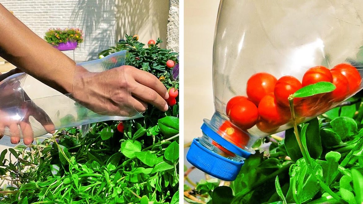 Outstanding Gardening Hacks That Actually Work