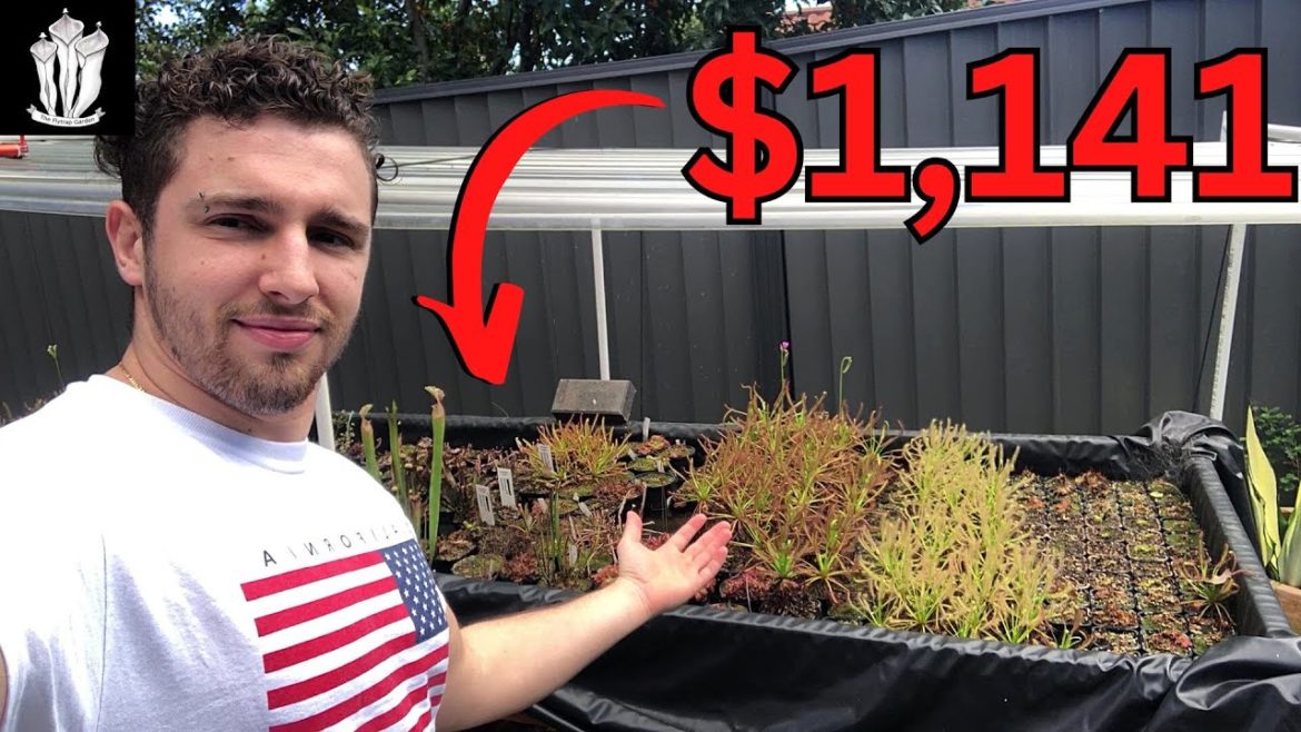 Why Would You Spend $1,141 on This? - Flood Table