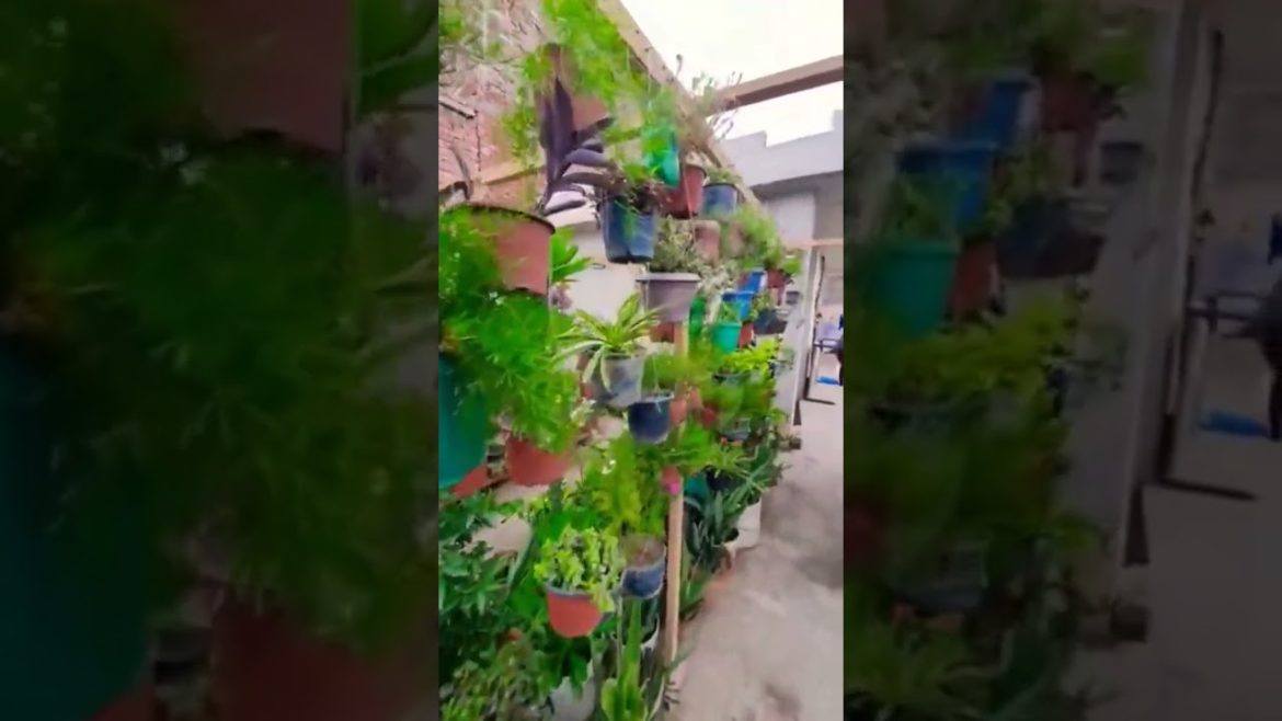 Hanging Garden ideas How to hang plants diy vertical garden vertical garden ideas for small space