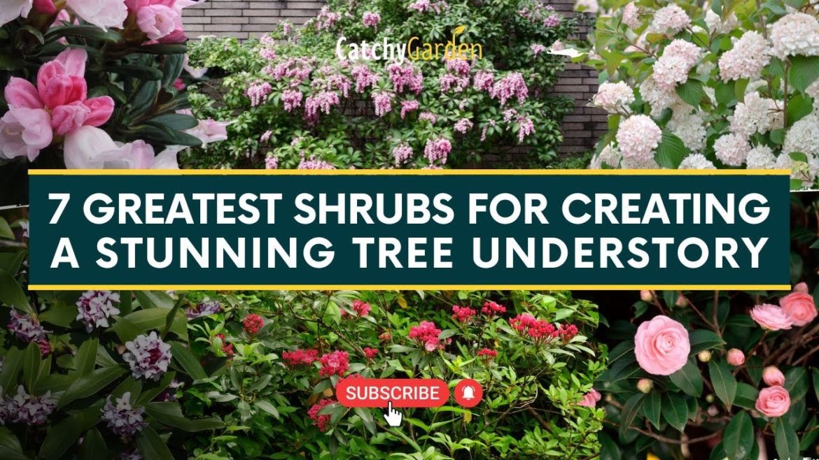 7 Greatest Shrubs for Creating a Stunning Tree Understory 🌺🌳 // Gardening Tips