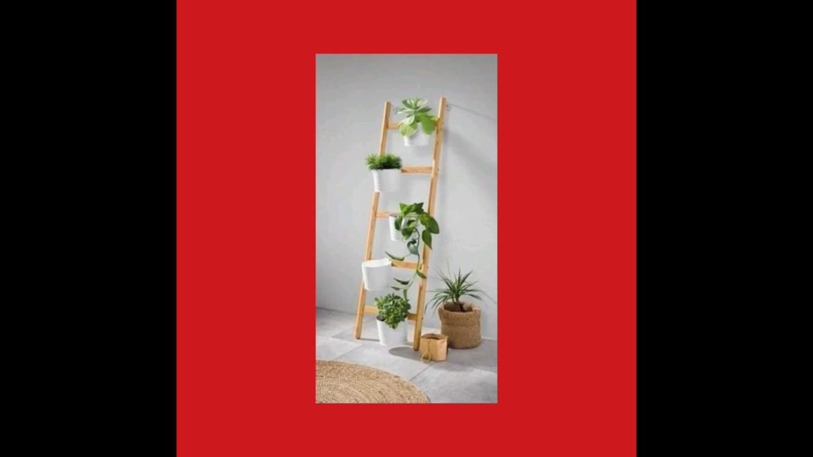 plants decoration ideas | garden tips 2022 | MiNtOs | mohd shanu plants decoration ideas | garden tips 2022 | MiNtOs | mohd shanu