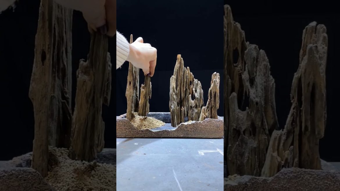 Small Garden Ideas DIY at Home | Miniature Garden | Terrarium Design Ideas | Ep 04 #Shorts Small Garden Ideas DIY at Home | Miniature Garden | Terrarium Design Ideas | Ep 04 #Shorts