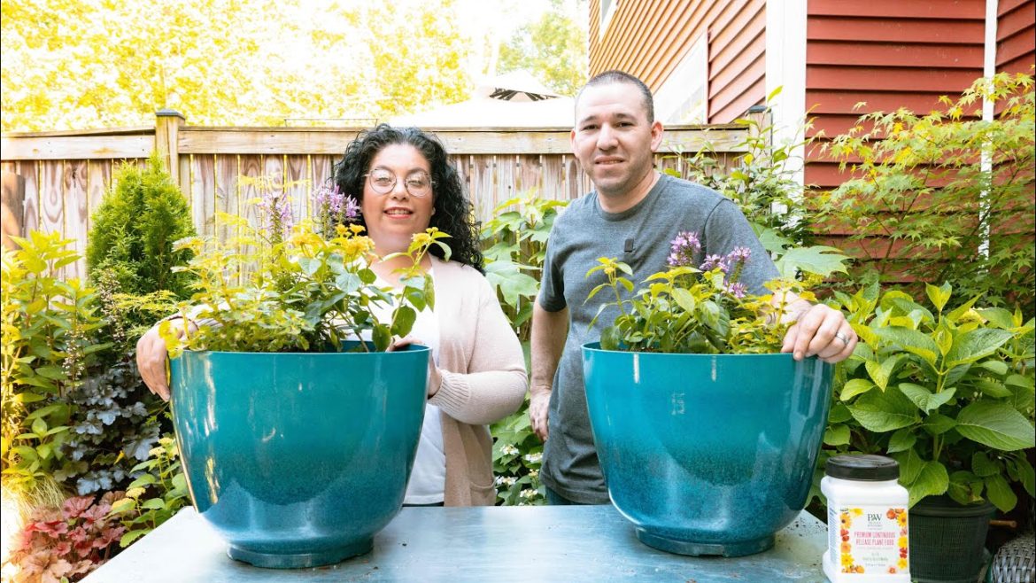 Colorful Three Plant Container // Garden Obsessions