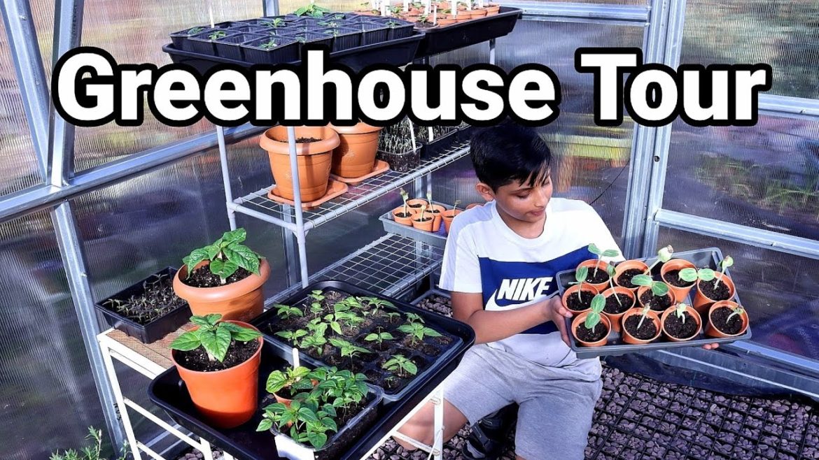 Gardening Tips & Update – March Greenhouse Tour Gardening Tips & Update - March Greenhouse Tour