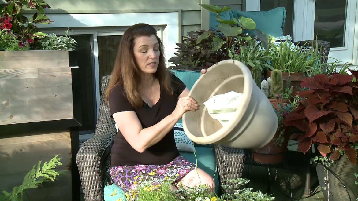 How to Plant a Light Weight Container Garden