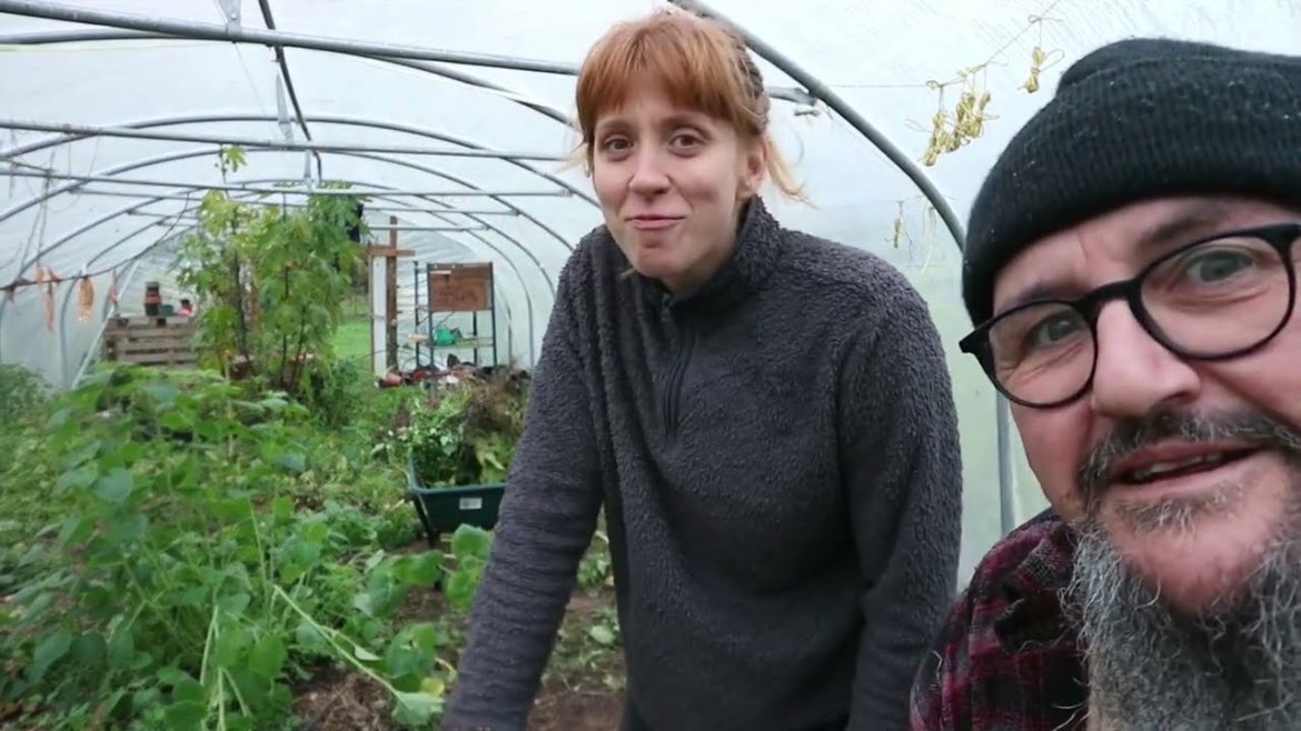 Polytunnel Clear-out Part 1