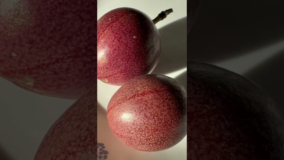 Growing Passion Fruit in a Five Gallon Container