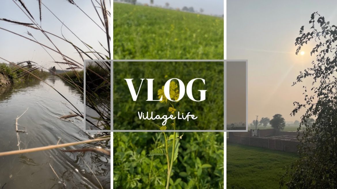 Village Vlog | A day in village | Foodie n The Xplorer