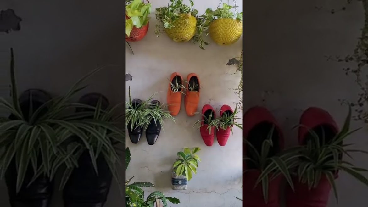 #shorts #youtubeshorts #प्रकृतिlove Garden Ideas Use Of Waste Materials Garden Hacks