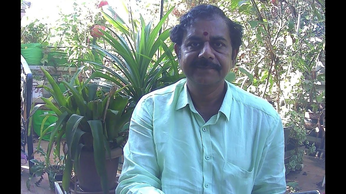 Live Questions and answers on Terrace Gardening on Gandhis Garden to Kitchen Live Questions and answers on Terrace Gardening on Gandhis Garden to Kitchen