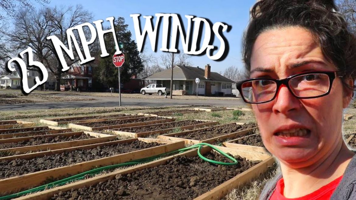 23 MPH Wind in the FRONT YARD GARDEN | Homestead Dreaming 23 MPH Wind in the FRONT YARD GARDEN | Homestead Dreaming