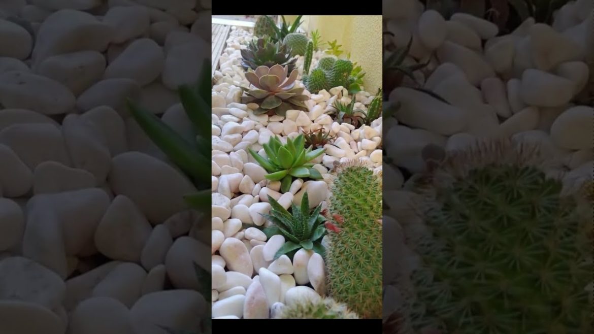 50 MODERN GARDEN DESIGN IDEA