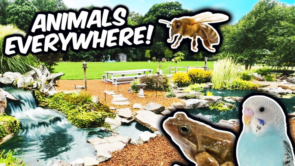 PERFECT Pond for Keeping BEES, FROGS, Parakeets. PERFECT Pond for Keeping BEES, FROGS, Parakeets.
