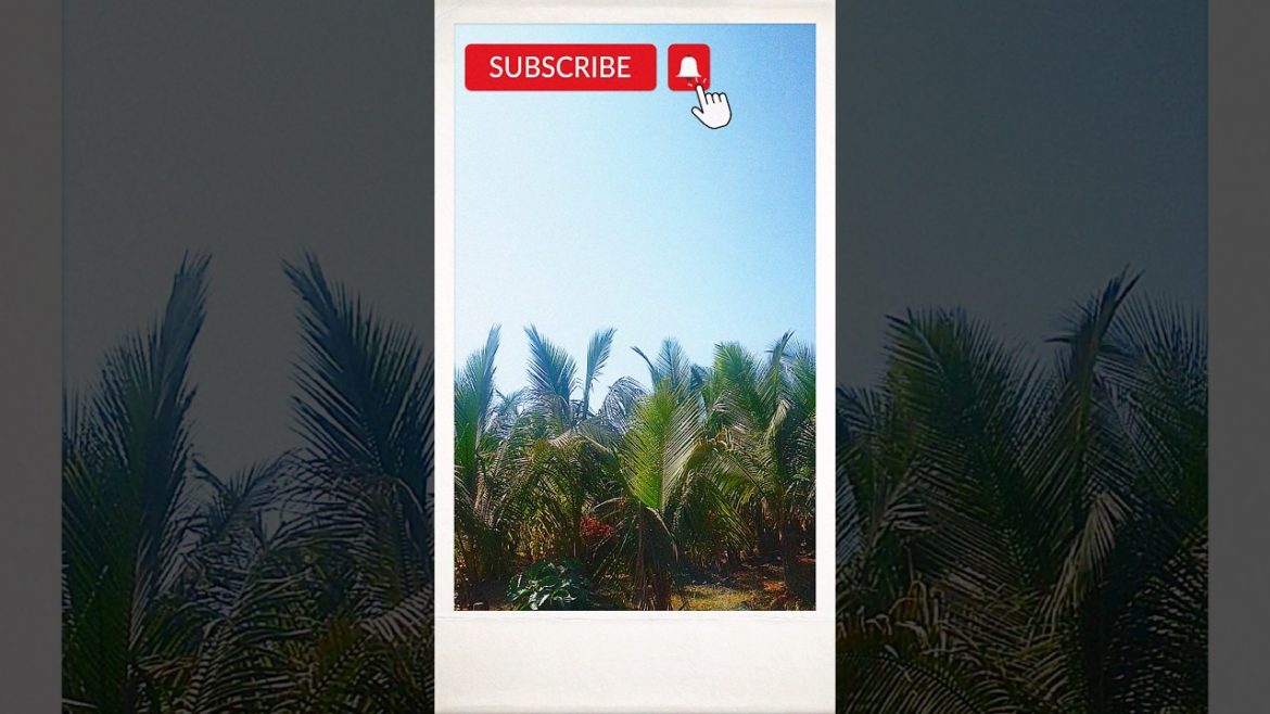 #Shorts#Gardening Tips & Techniques at Home#Garden Ideas Care & 4K Scenic Video & Garden Landscape