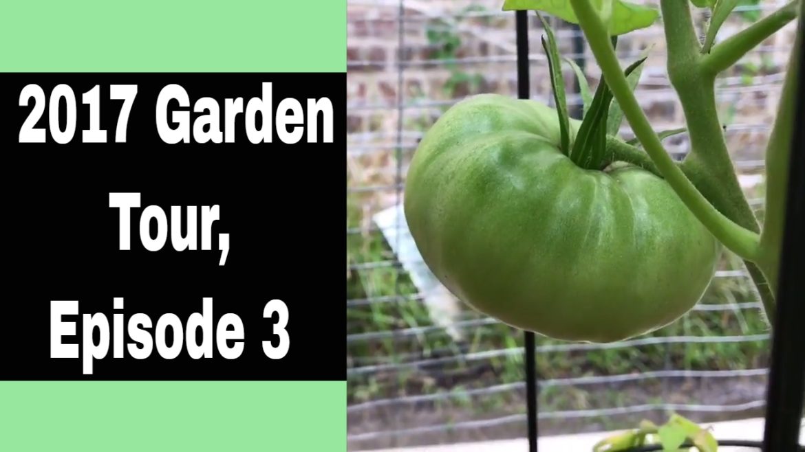 2017 Backyard Garden Tour, Episode 3 2017 Backyard Garden Tour, Episode 3