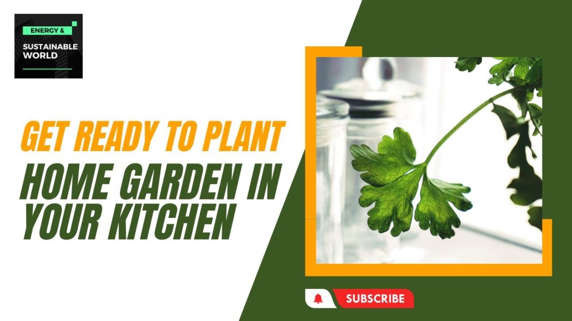 Get Ready to Plant a Home Garden in Your Kitchen Get Ready to Plant a Home Garden in Your Kitchen