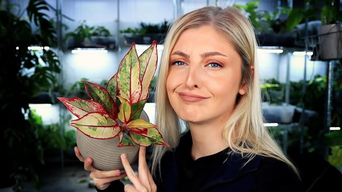 Ben is here and he bought weird stuff… Ben is here and he bought weird stuff...