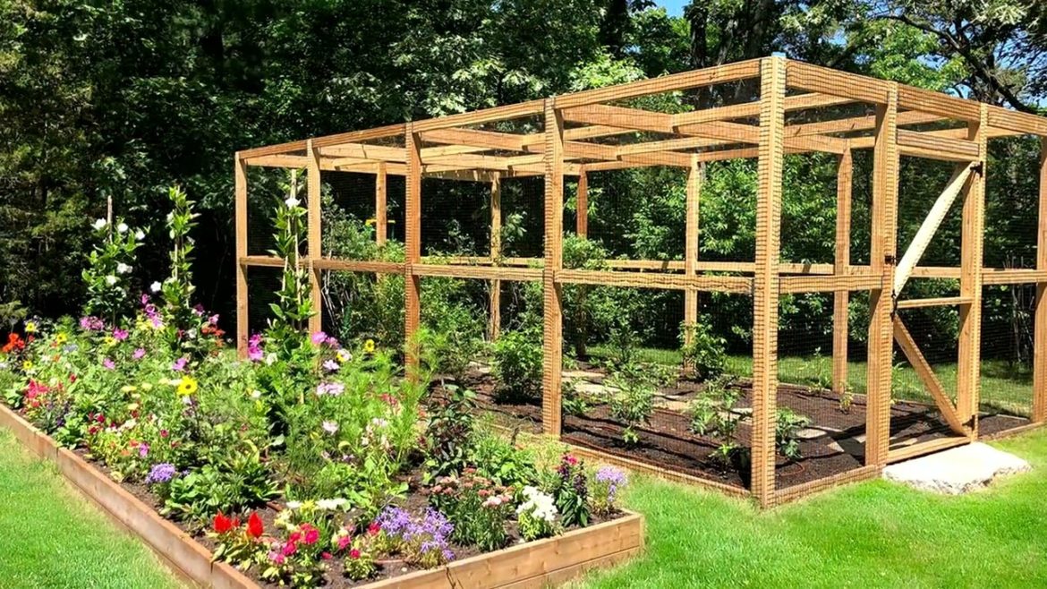 43 DIY Organic Garden Ideas for Beginners 43 DIY Organic Garden Ideas for Beginners