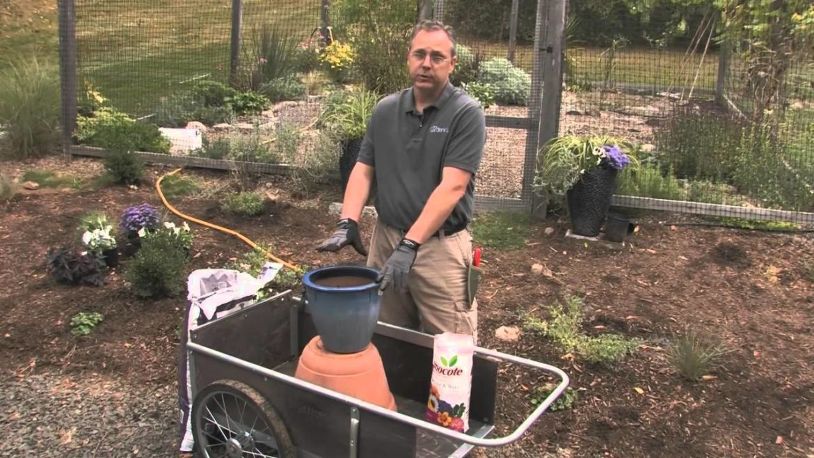 Container Gardening Basics