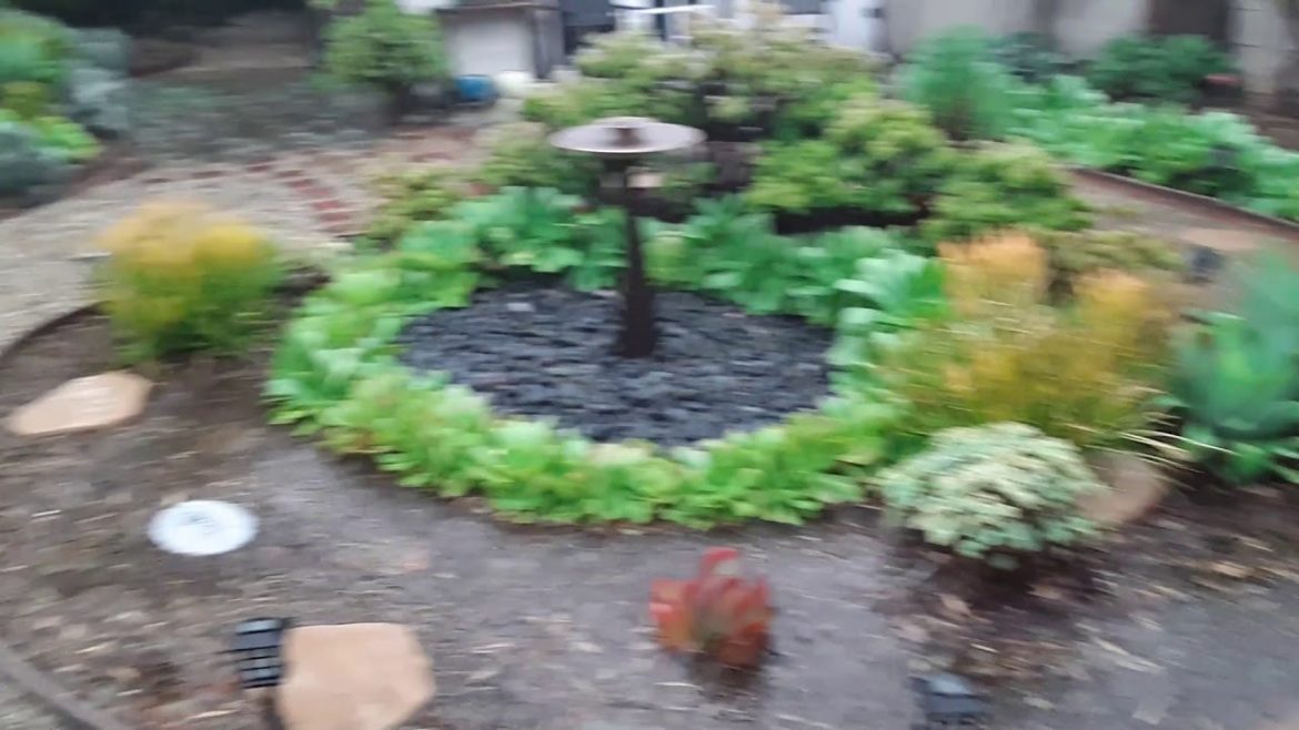 An Update on the Backyard Ecological Landscape: November, 2018