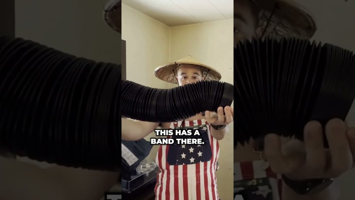 How to Grow Massive Amounts of Mushrooms in 2022 #Shorts #gardening #mushroom