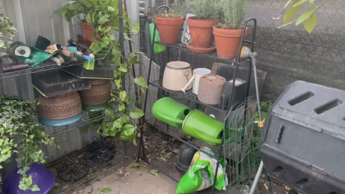 Organizing my backyard