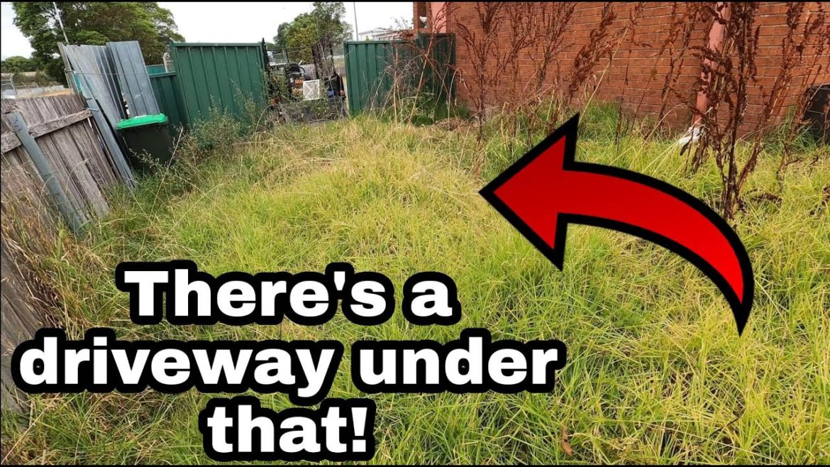 Gave her a driveway for Christmas! Mowing tall grass