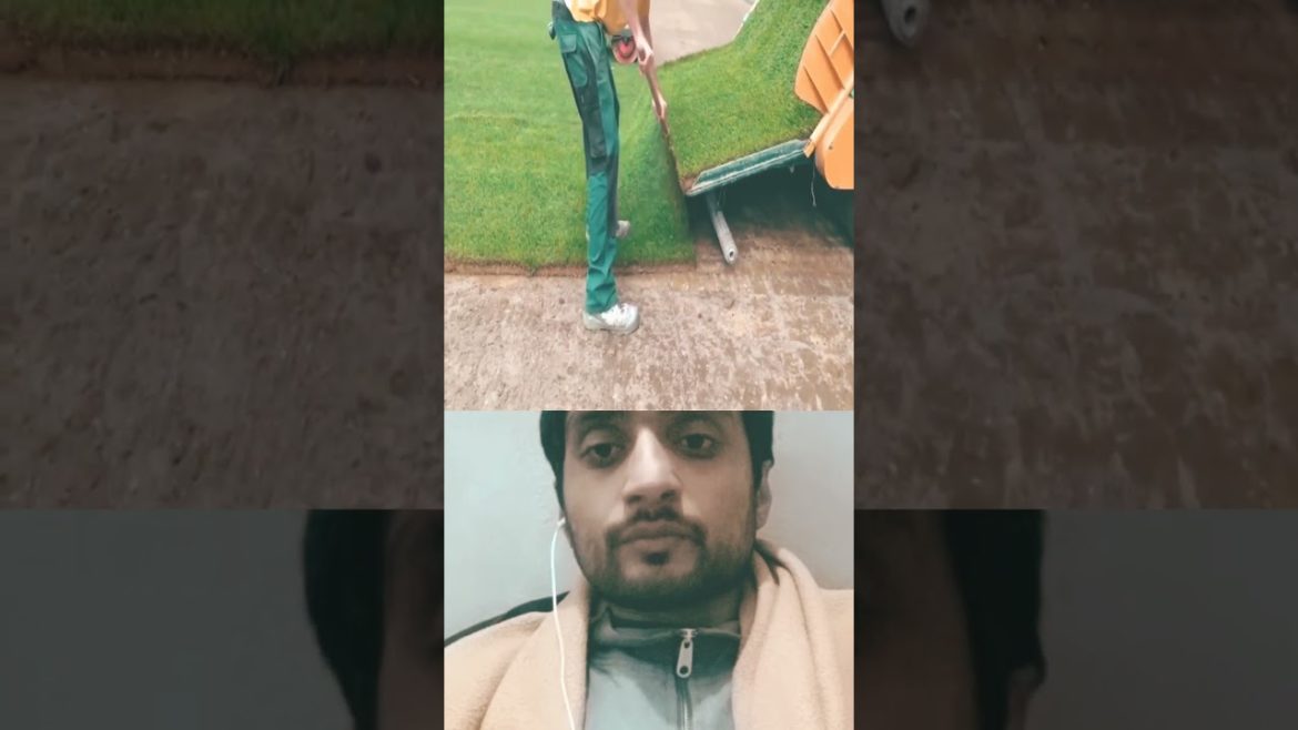 artificial grass #shorts