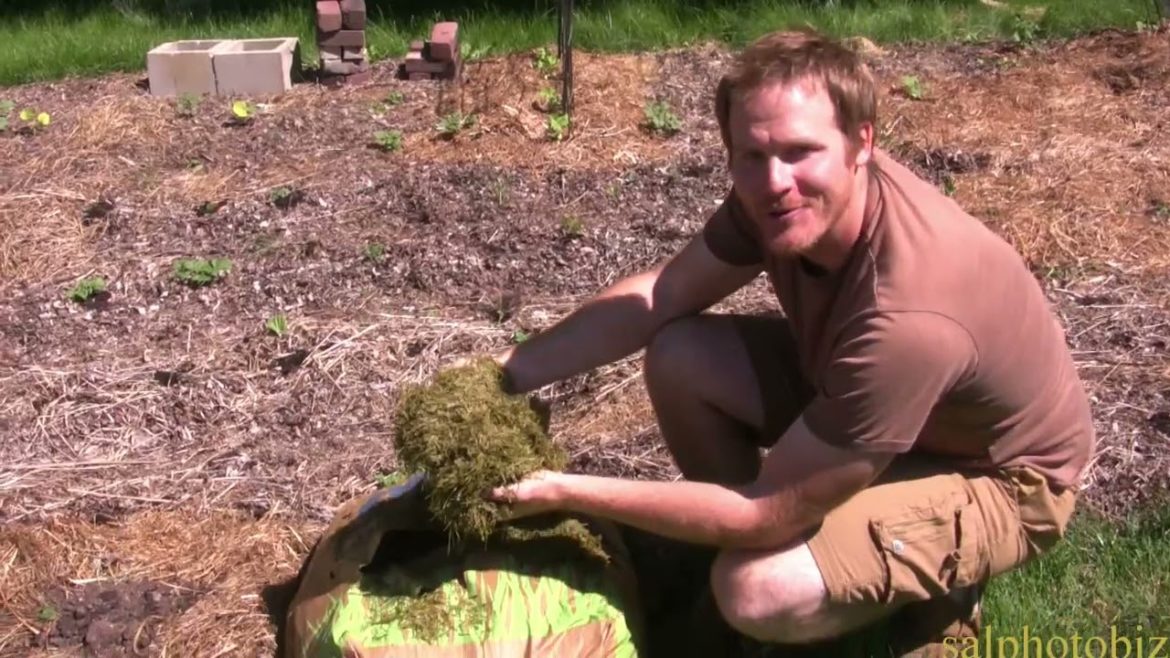 Oray Lazy Gardener Mulching Tips