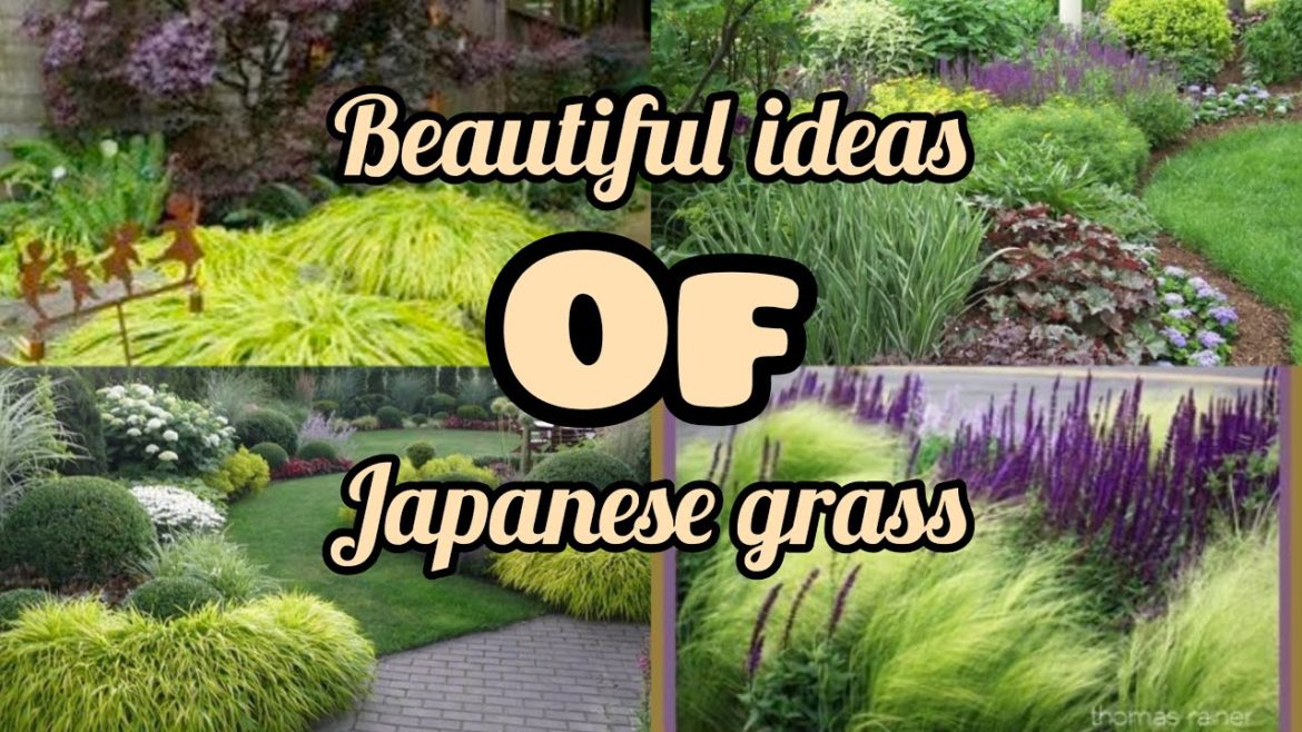 JAPANESE GRASS IDEAS FOR YOUR GARDEN | Garden Aesthetic