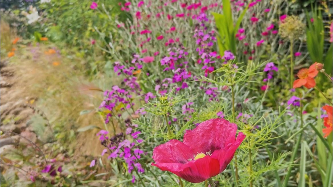 Yew Cottage Garden the best highlights of each month in 2022