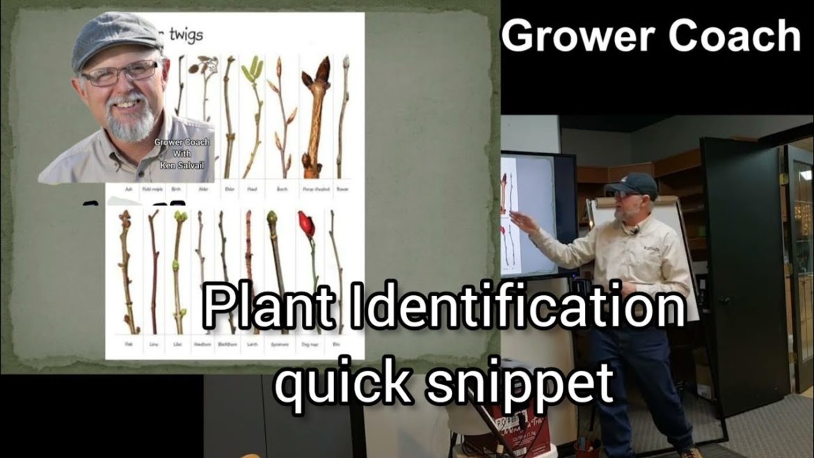 Plant Identification snippet from Grower Coach