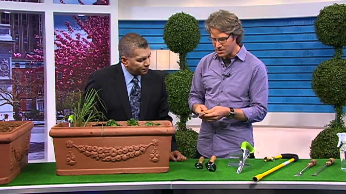 Weed with ease using organic gardening tips