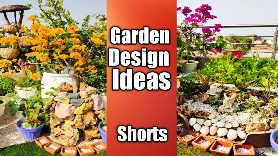Garden Design Ideas | Terrace garden ideas | How to design our garden | Shorts