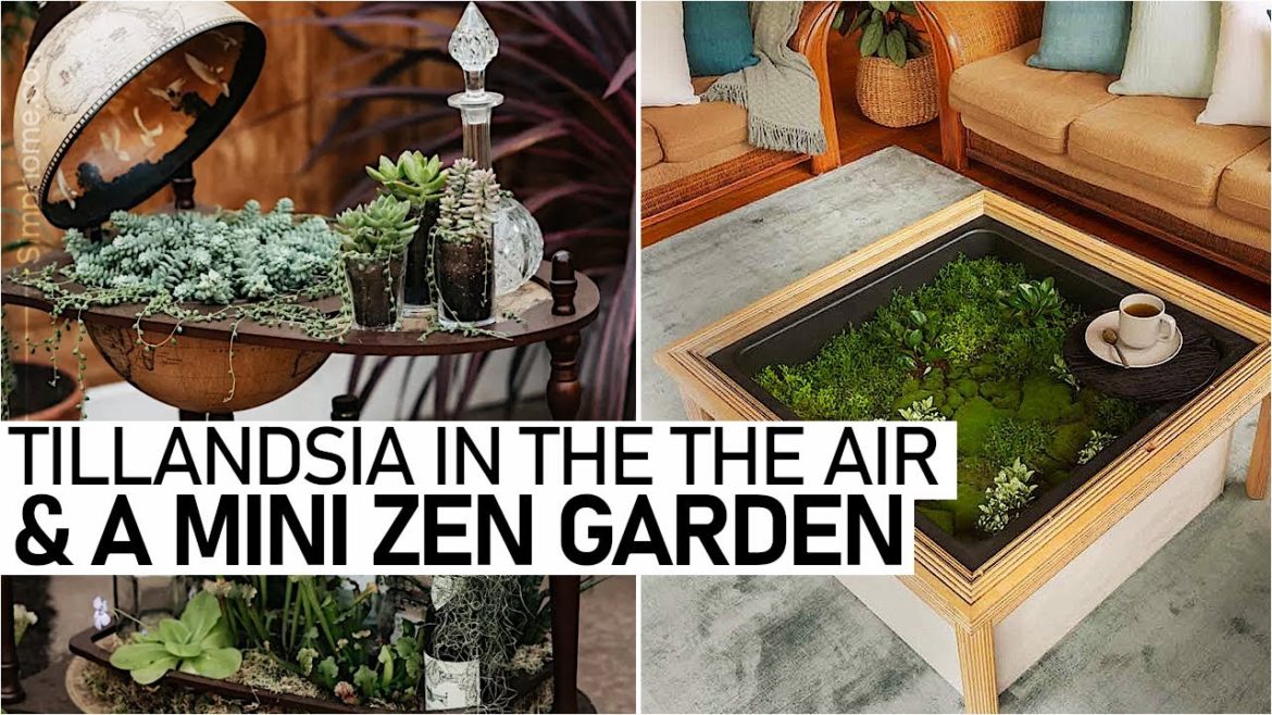 10 Dry Garden Ideas For A Small Area