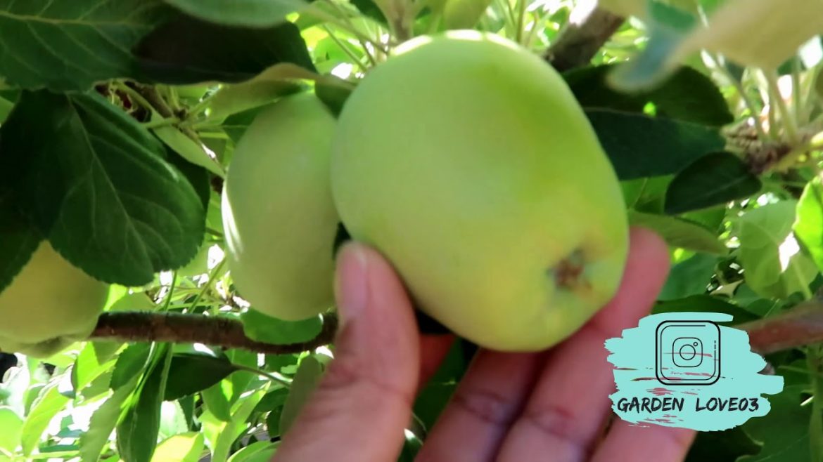 My Neighbor's Edible GARDEN TOUR | Sugarcane's Were Gifted to Me 🤗 | Growing Food In the Backyard