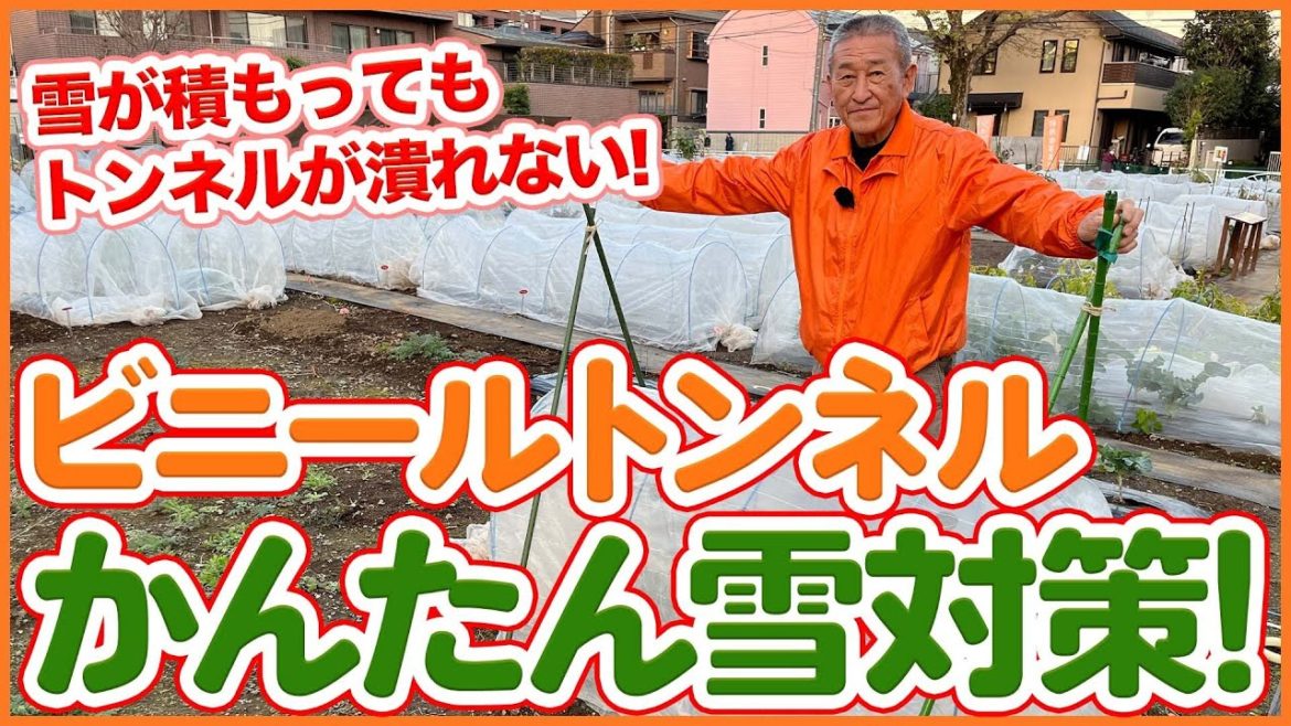 家庭菜園や農園の冬野菜栽培で雪が降ってもOK!簡単にできるビニールトンネルの作り方!/Tips for setting up plastic tunnels for Japanese farmers. 家庭菜園や農園の冬野菜栽培で雪が降ってもOK!簡単にできるビニールトンネルの作り方!/Tips for setting up plastic tunnels for Japanese farmers.