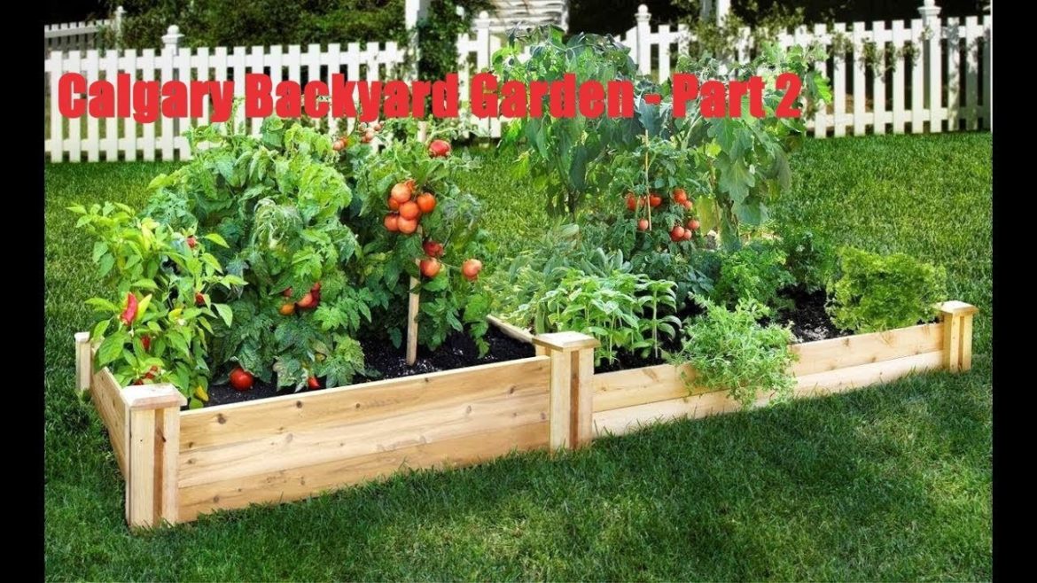 How to grow vegetables and fruits in your Backyard – Calgary backyard Garden – Part 2 How to grow vegetables and fruits in your Backyard - Calgary backyard Garden - Part 2