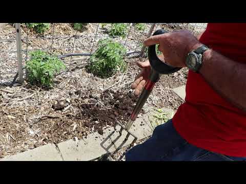 Vegetable Gardening with Doug Kanarowski Vegetable Gardening with Doug Kanarowski