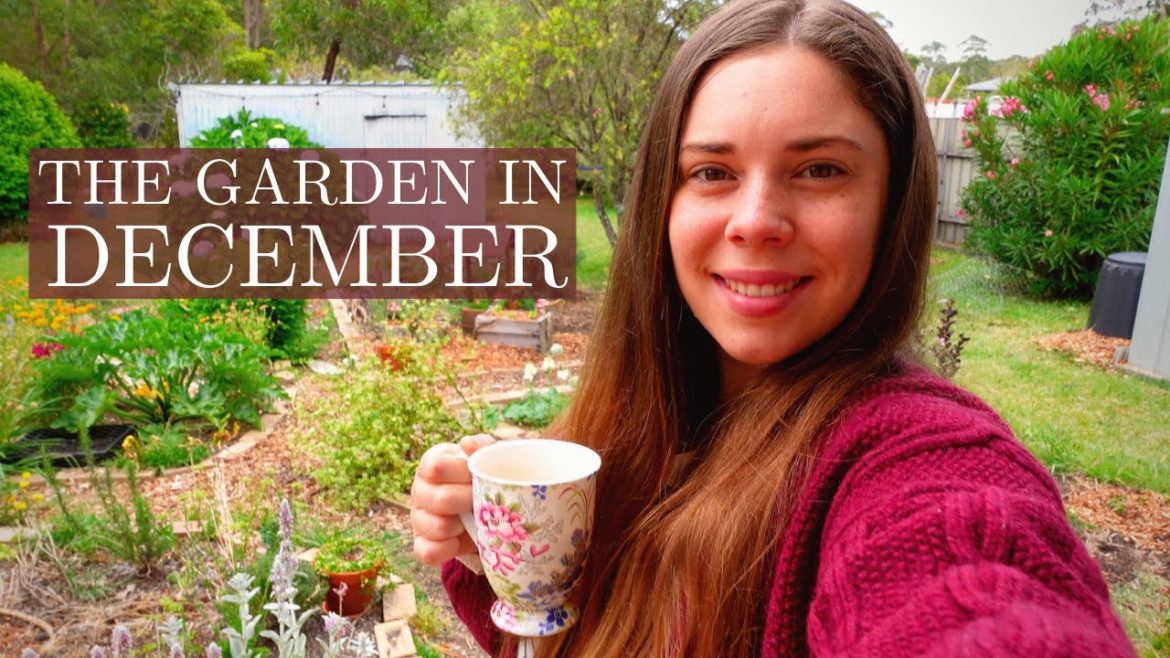 December Cottage Garden and Flower Farm Tour Australia 🌸🌿 Vlogmas Day 23 December Cottage Garden and Flower Farm Tour Australia 🌸🌿 Vlogmas Day 23
