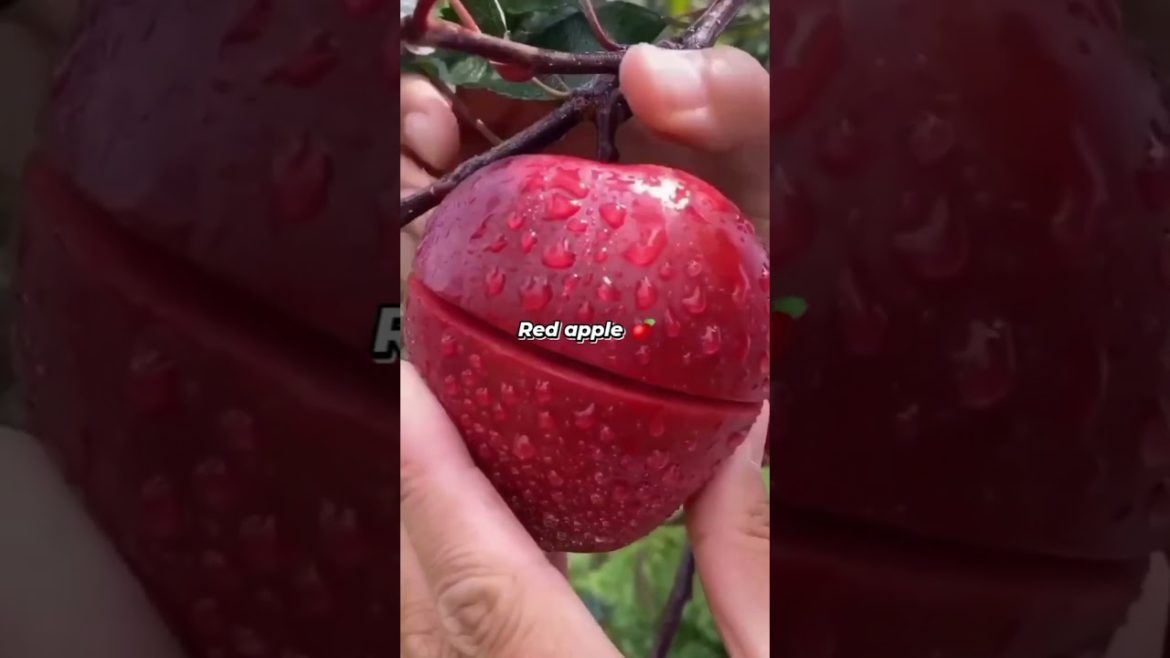Red apple | Farm Fresh Ninja Fruit Cutting | Oddly Satisfying Fruit Ninja #04 #shorts
