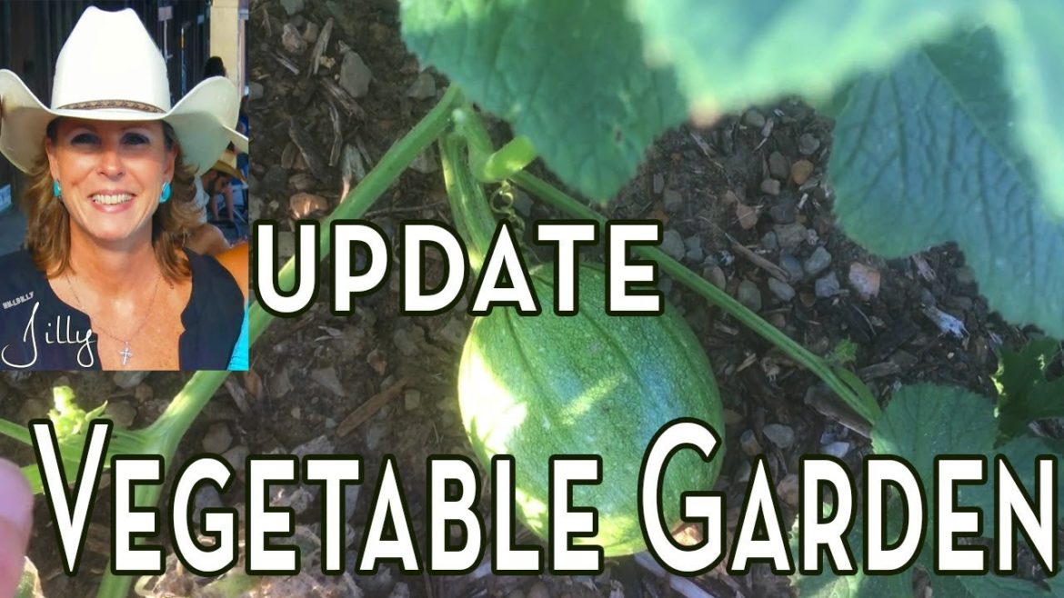 North Texas Vegetable Garden Update – Early July