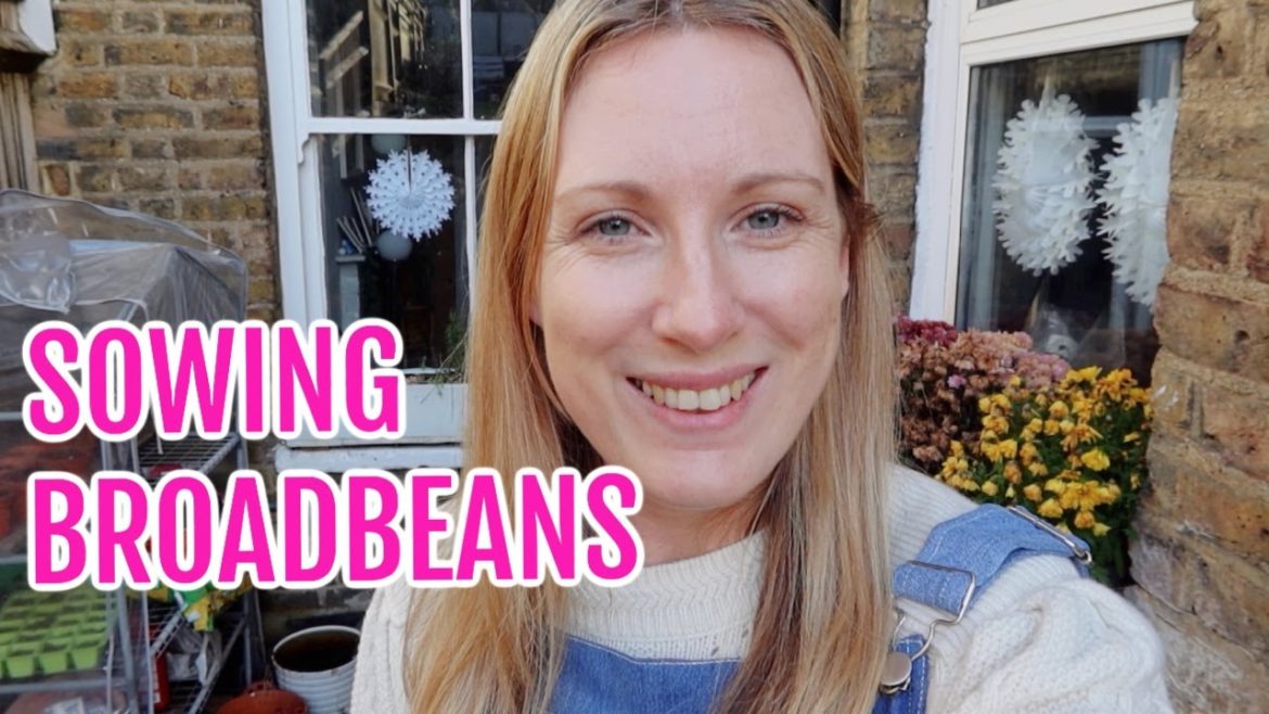 SOWING BROADBEANS AND MAKING BIRD FEEDERS / DECEMBER GARDENING SOWING BROADBEANS AND MAKING BIRD FEEDERS / DECEMBER GARDENING