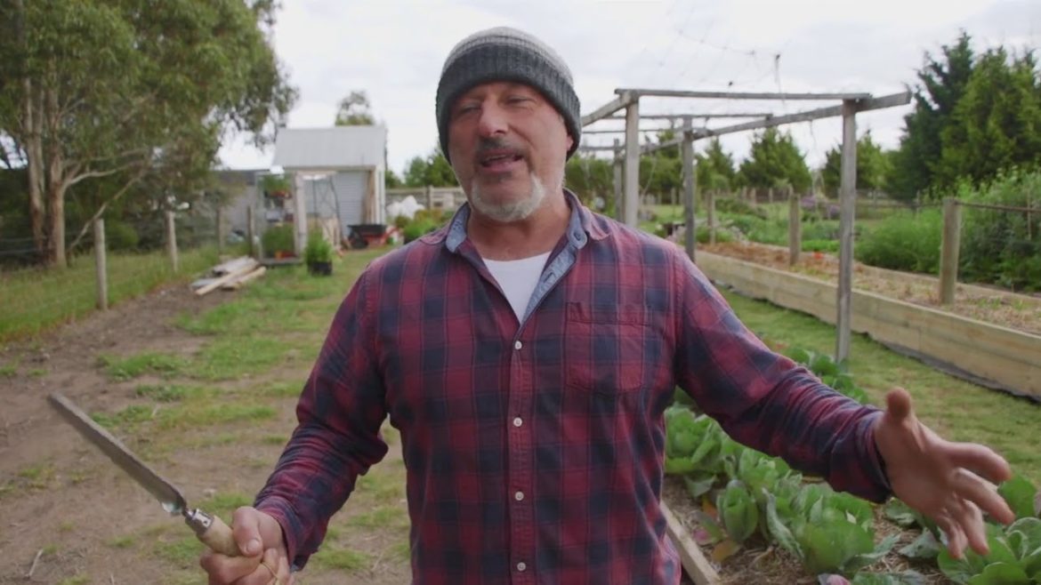 General Gardening Tips