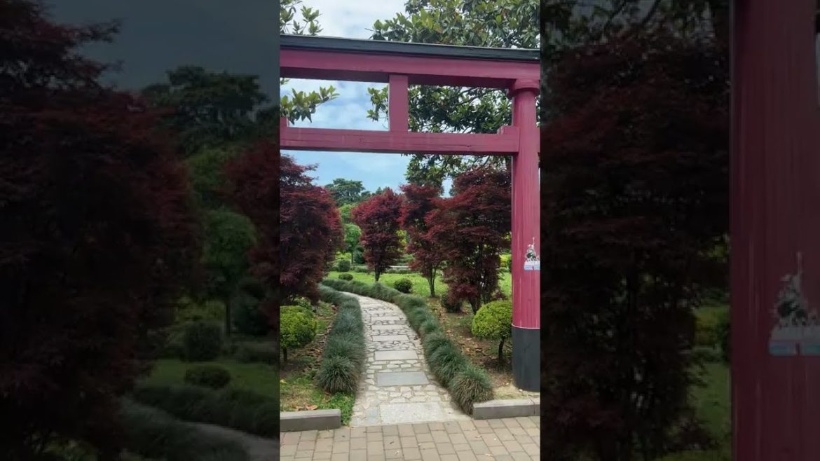 Batumi Japanese Garden π³π²β© Batumi Japanese Garden π³π²β©